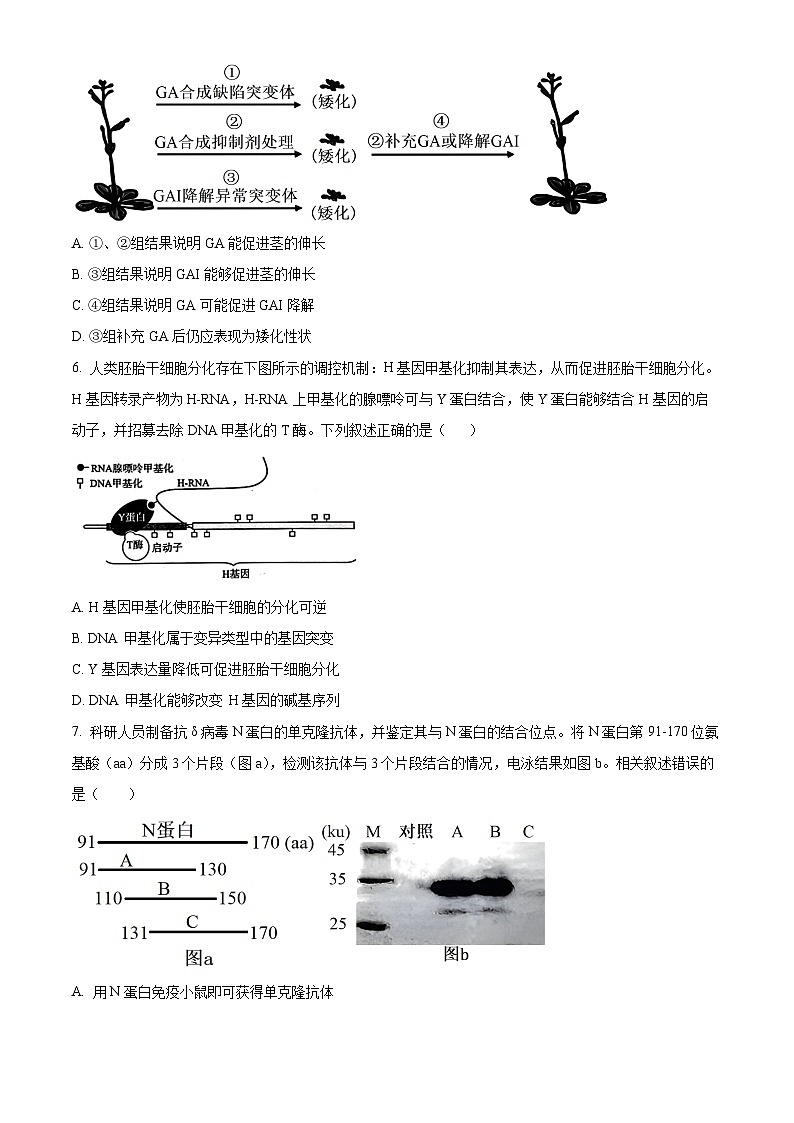 天津市和平区第一中学2023-2024学年高三下学期第四次月考生物试题（原卷版）第2页