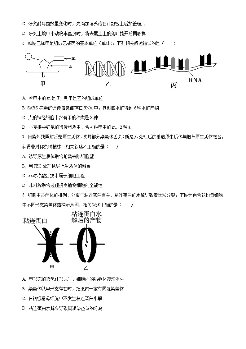 天津市和平区耀华中学2023-2024学年高三下学期4月学业定位考生物试题（原卷版+解析版）02
