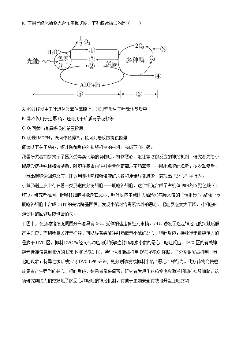 天津市和平区耀华中学2023-2024学年高三下学期4月学业定位考生物试题（原卷版+解析版）03