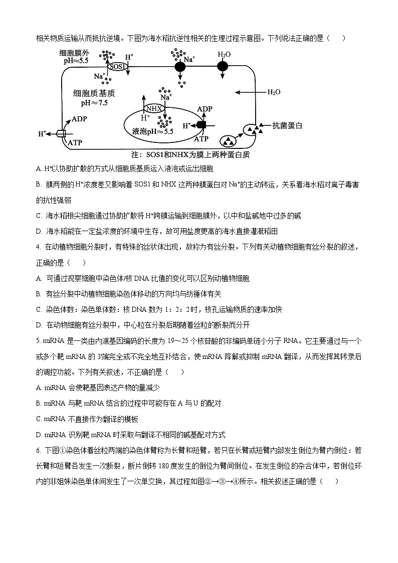 江西省五市九校协作体2024届高三下学期第二次联考生物试题（Word版附答案）02