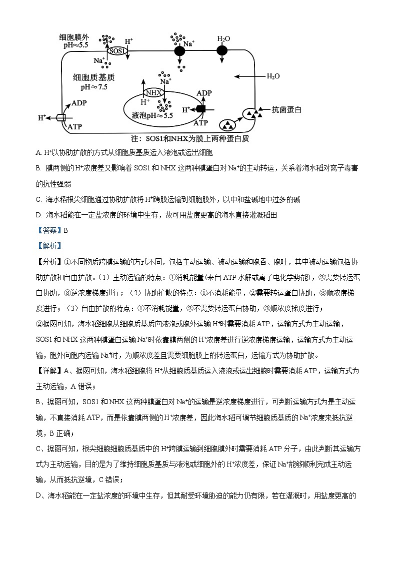 江西省五市九校协作体2024届高三下学期第二次联考生物试题（Word版附答案）03