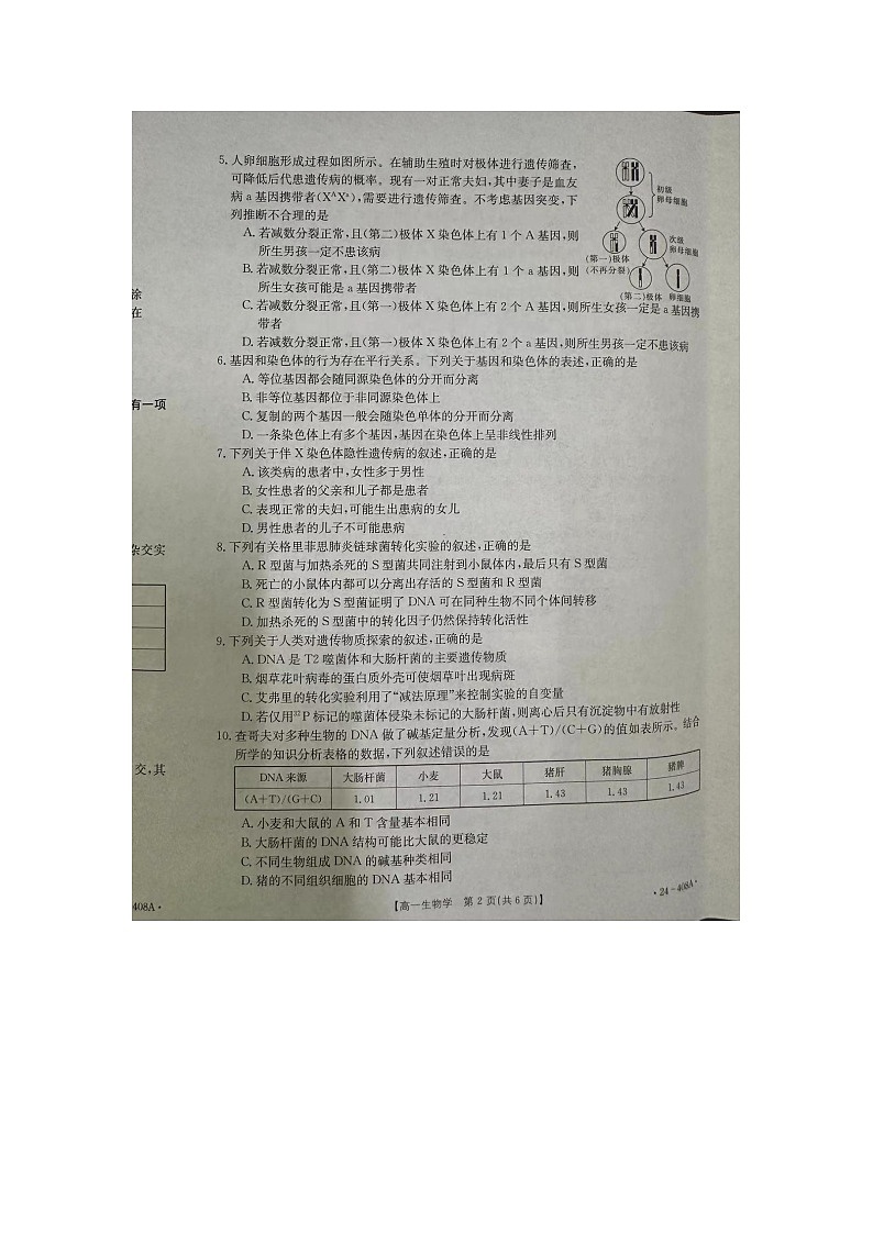 河北省邢台市2023-2024学年高一下学期期中考试生物试题02