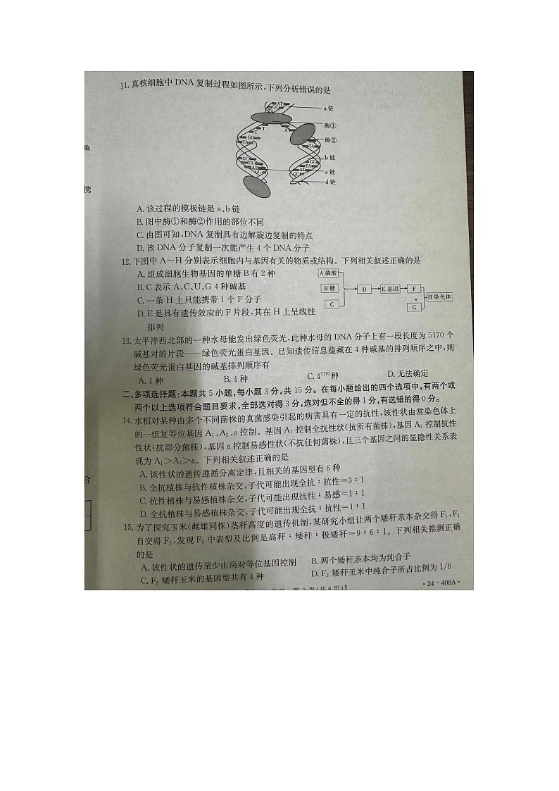 河北省邢台市2023-2024学年高一下学期期中考试生物试题03