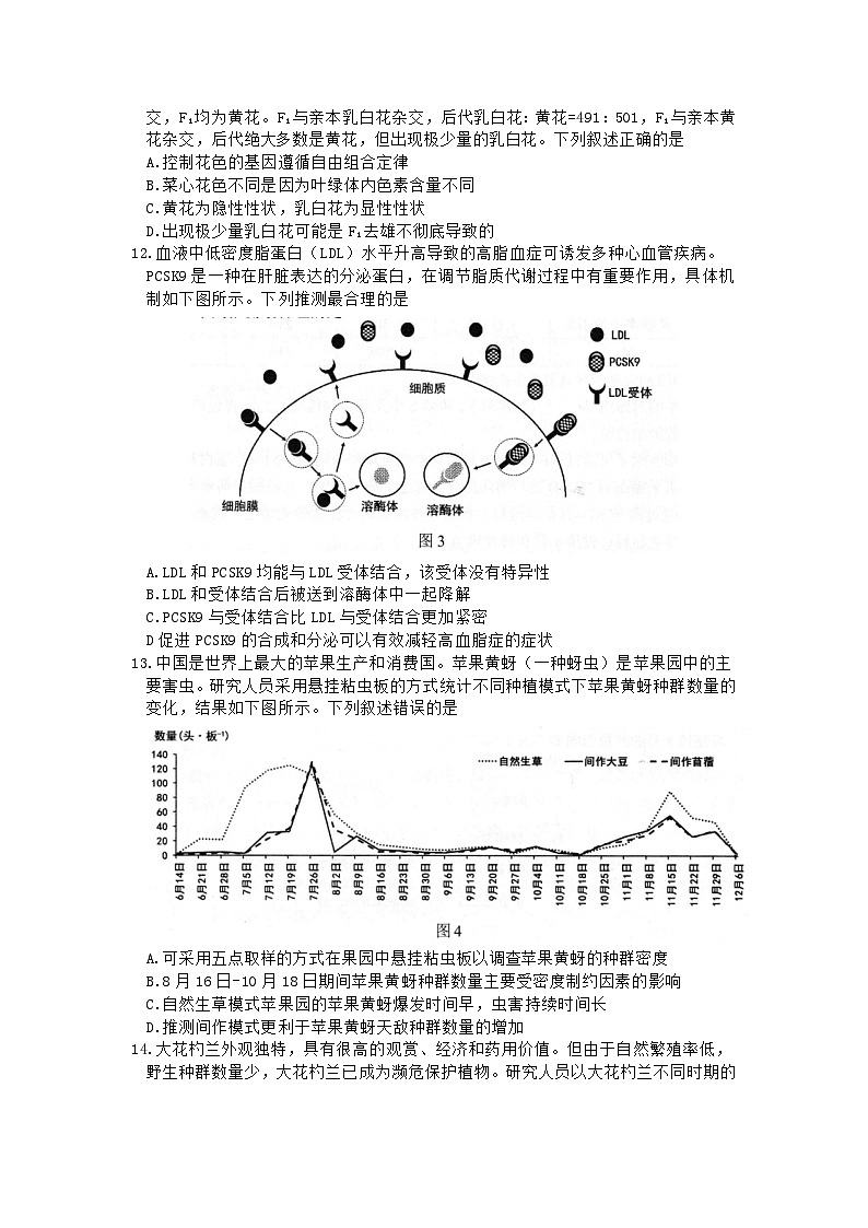 广东省佛山市2024届高三下学期4月二模生物试题（Word版附答案）03