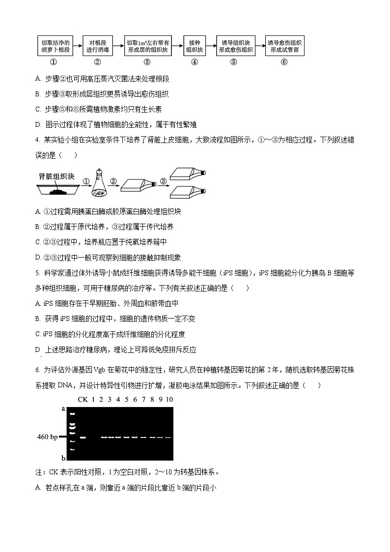 河南省名校联考2023-2024学年高二下学期4月月考生物试题（Word版附解析）02