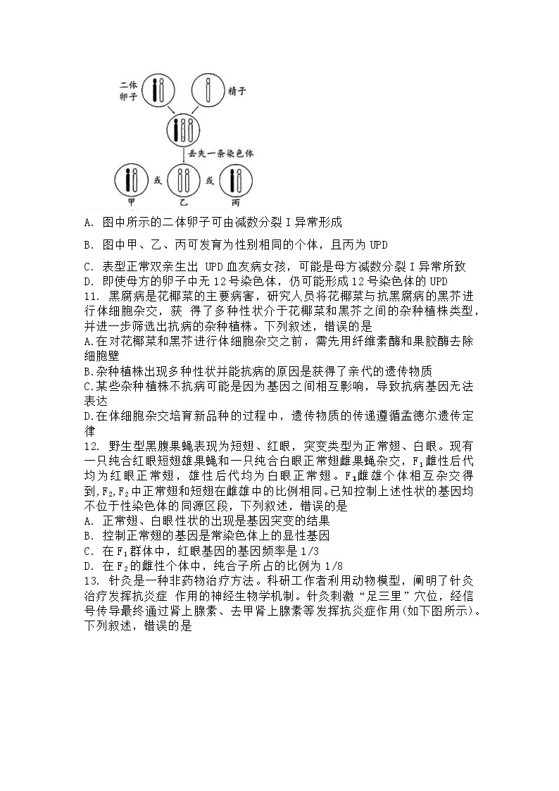 2024年广州市普通高中毕业班综合测试(二)生物试题+答案（4.23广州二模）03