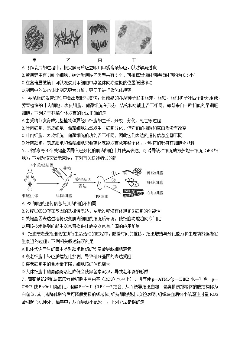 湖北省荆荆襄宜四地七校2023-2024学年高一下学期期中联考生物试卷（Word版附解析）第2页