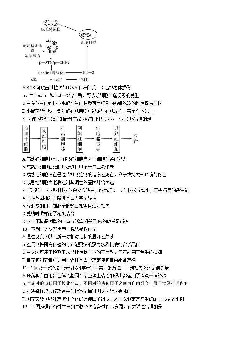 湖北省荆荆襄宜四地七校2023-2024学年高一下学期期中联考生物试卷（Word版附解析）第3页