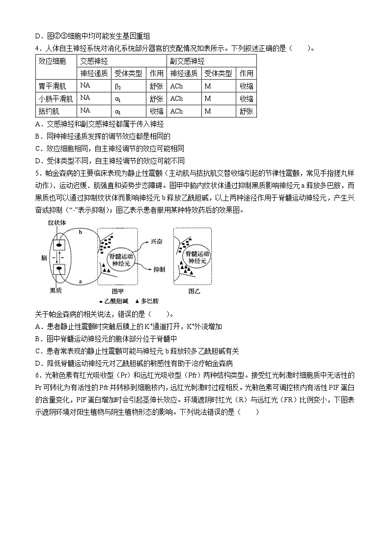 天津市八校2024届高三下学期4月二模联考试题生物含答案第2页