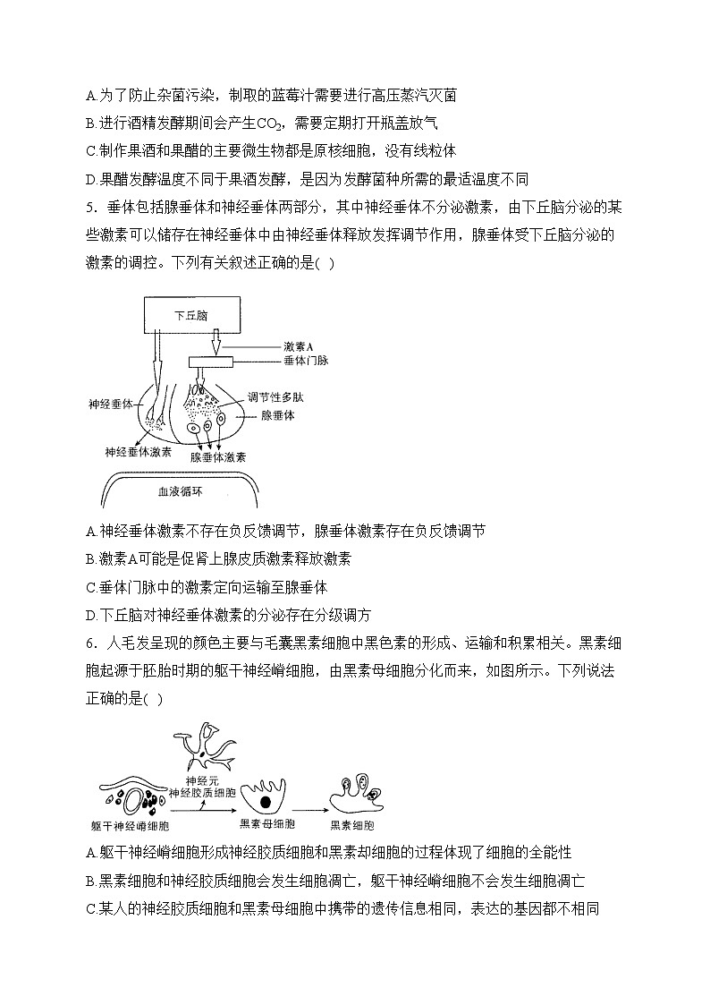 2024届高考生物挑战模拟卷 【湖南卷】(含答案)第2页