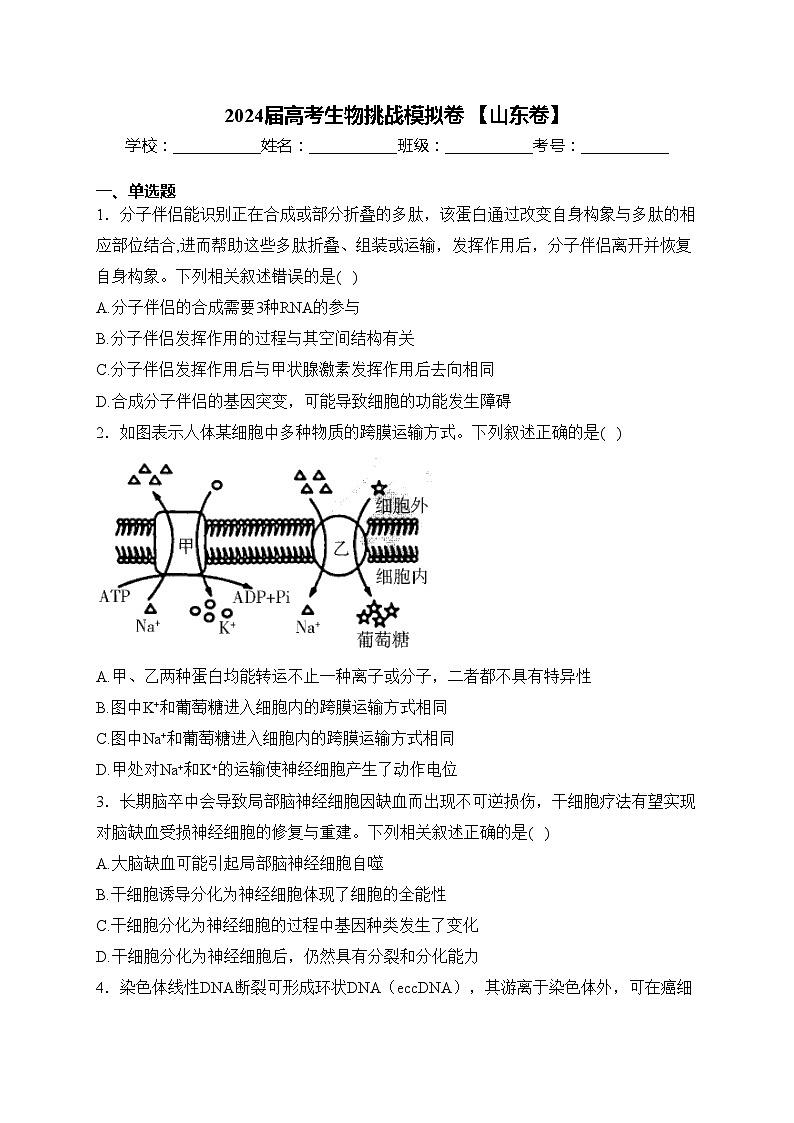 2024届高考生物挑战模拟卷 【山东卷】(含答案)01