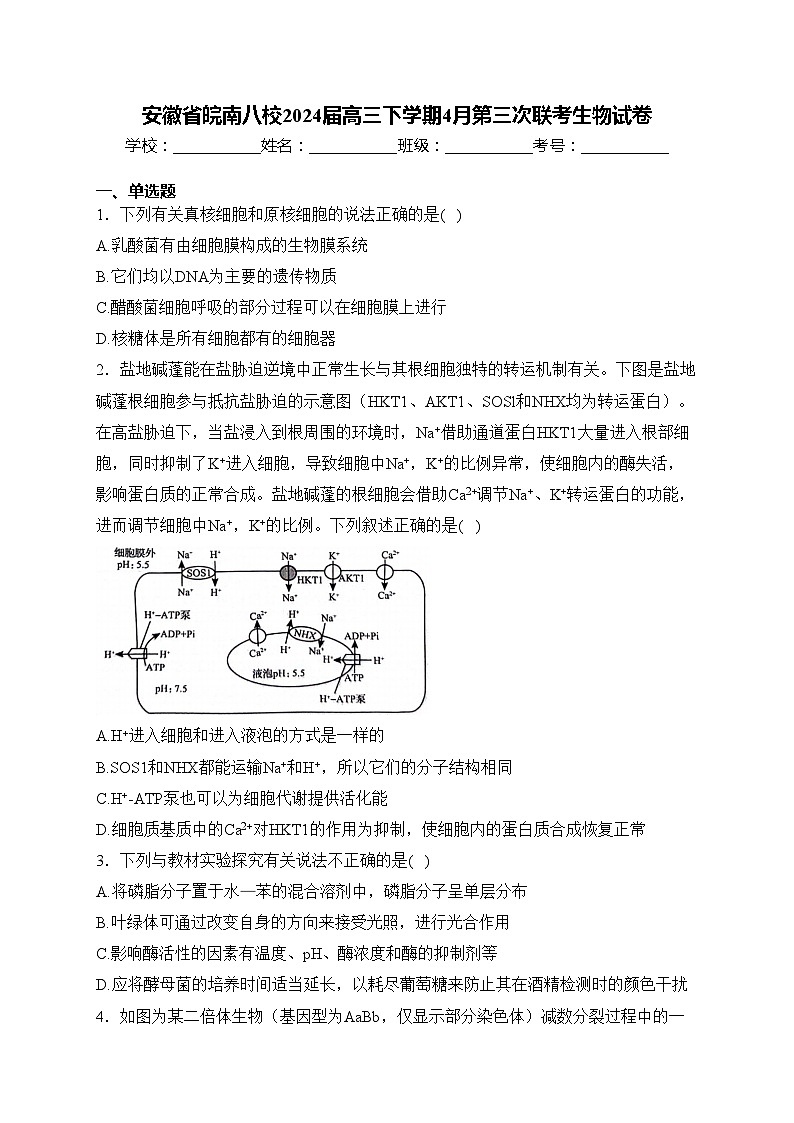 安徽省皖南八校2024届高三下学期4月第三次联考生物试卷(含答案)第1页