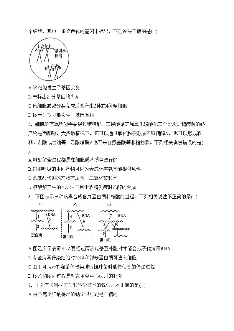 安徽省皖南八校2024届高三下学期4月第三次联考生物试卷(含答案)第2页