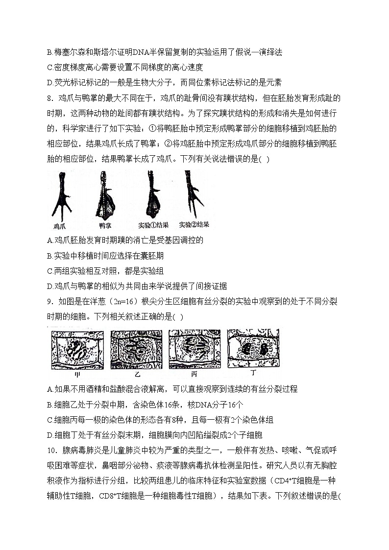 安徽省皖南八校2024届高三下学期4月第三次联考生物试卷(含答案)第3页