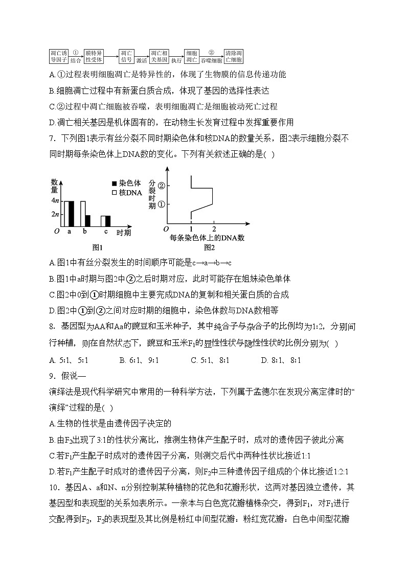 丰城市第九中学2023-2024学年高一下学期第一次月考生物试卷(含答案)第3页