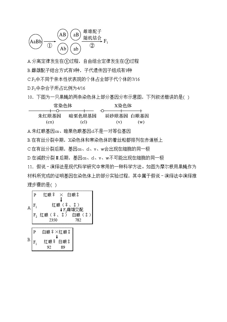 福建省泉州市泉港区第一中学2023-2024学年高一下学期3月月考生物试卷(含答案)03