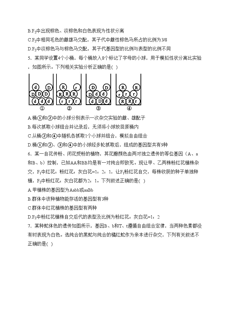 福建省厦门市市双十中学2023-2024学年高一下学期4月第一次月考生物试卷(含答案)第2页