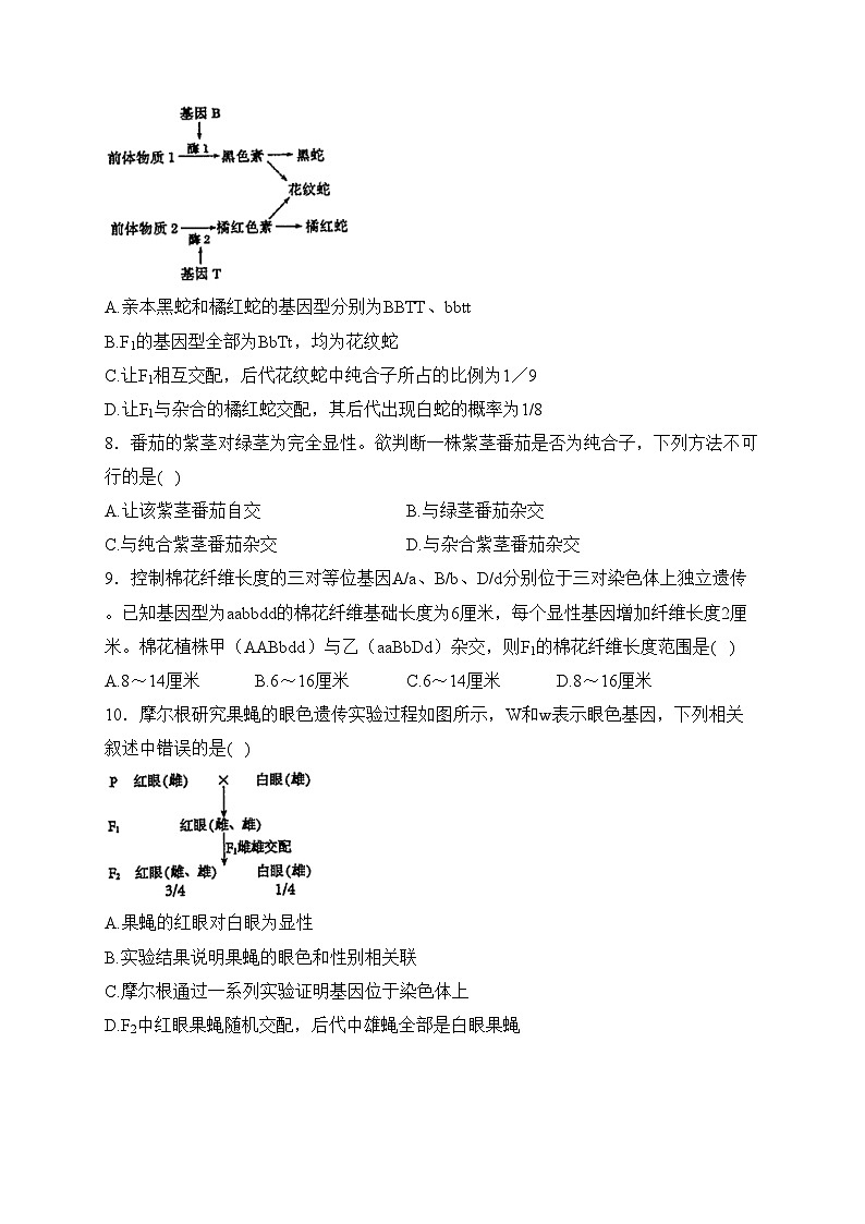 福建省厦门市市双十中学2023-2024学年高一下学期4月第一次月考生物试卷(含答案)第3页