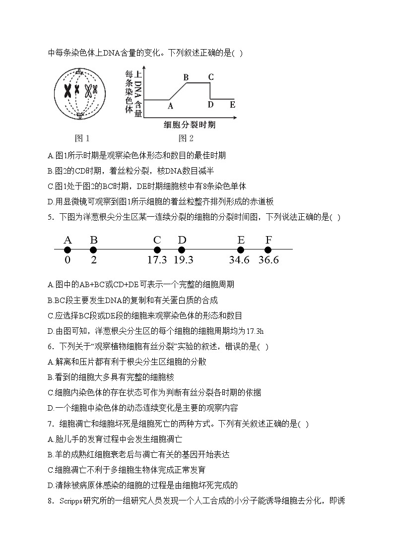 广东省清远市四校联考2022-2023学年高一下学期4月期中考试生物试卷(含答案)第2页