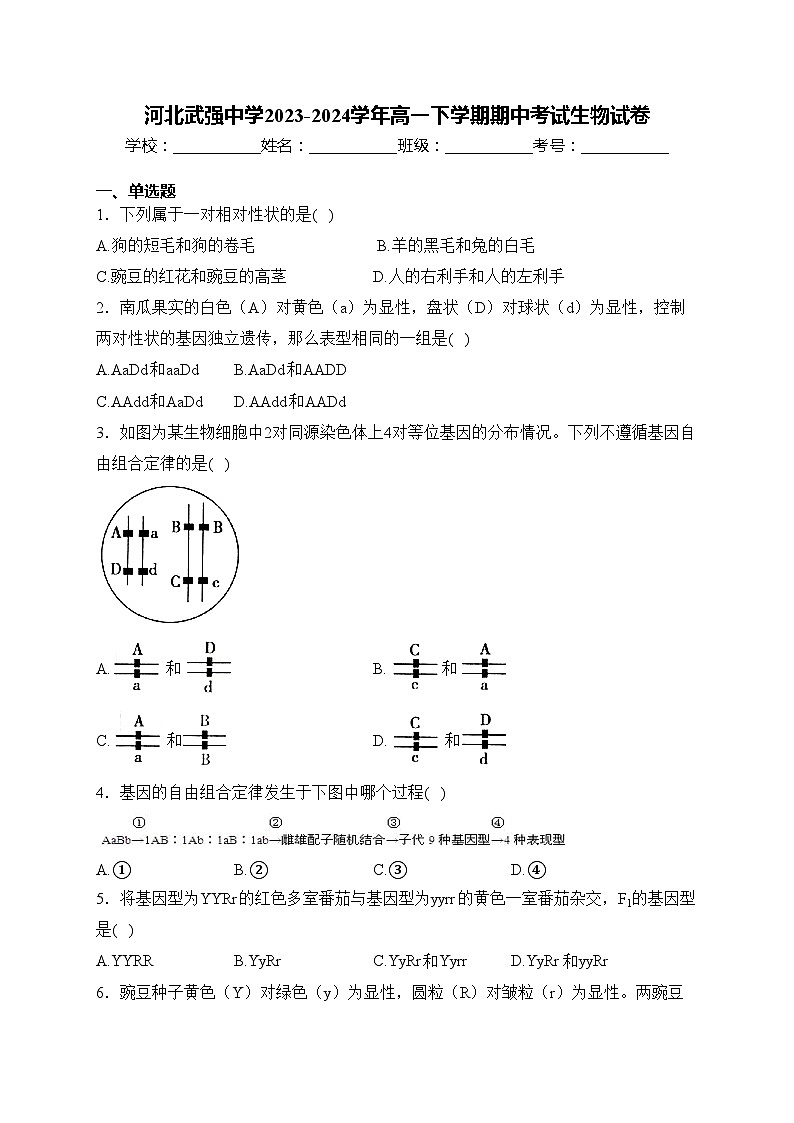 河北武强中学2023-2024学年高一下学期期中考试生物试卷(含答案)第1页