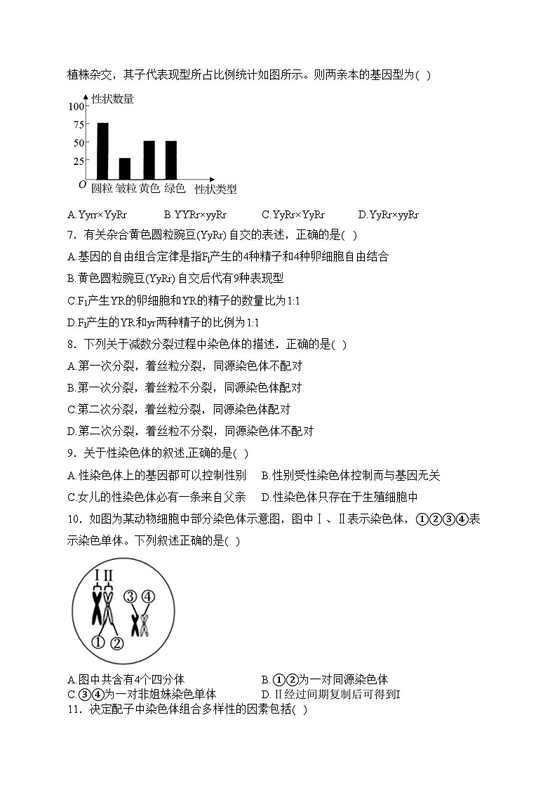 河北武强中学2023-2024学年高一下学期期中考试生物试卷(含答案)第2页