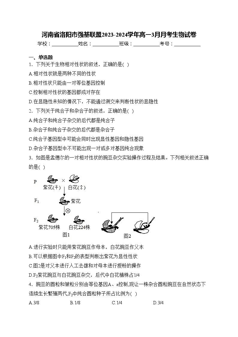河南省洛阳市强基联盟2023-2024学年高一3月月考生物试卷(含答案)第1页