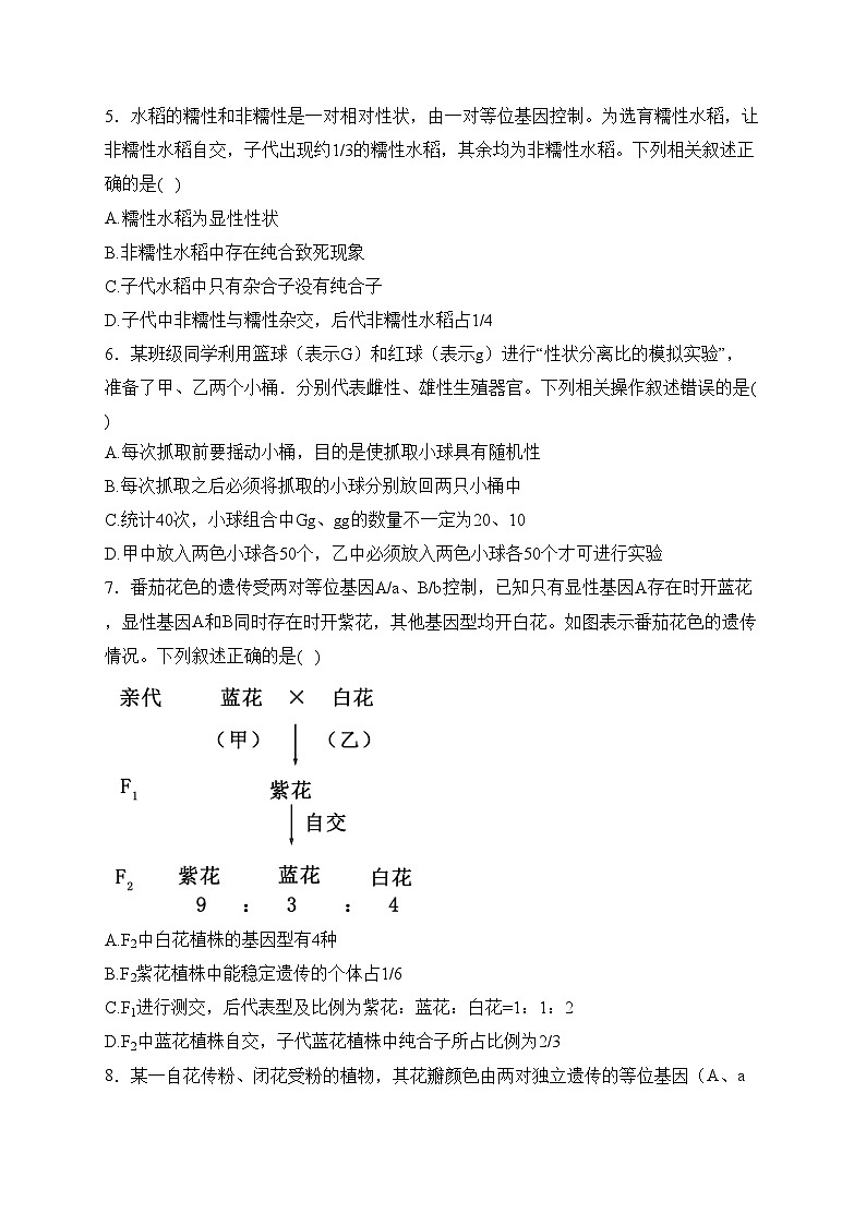 河南省洛阳市强基联盟2023-2024学年高一3月月考生物试卷(含答案)第2页