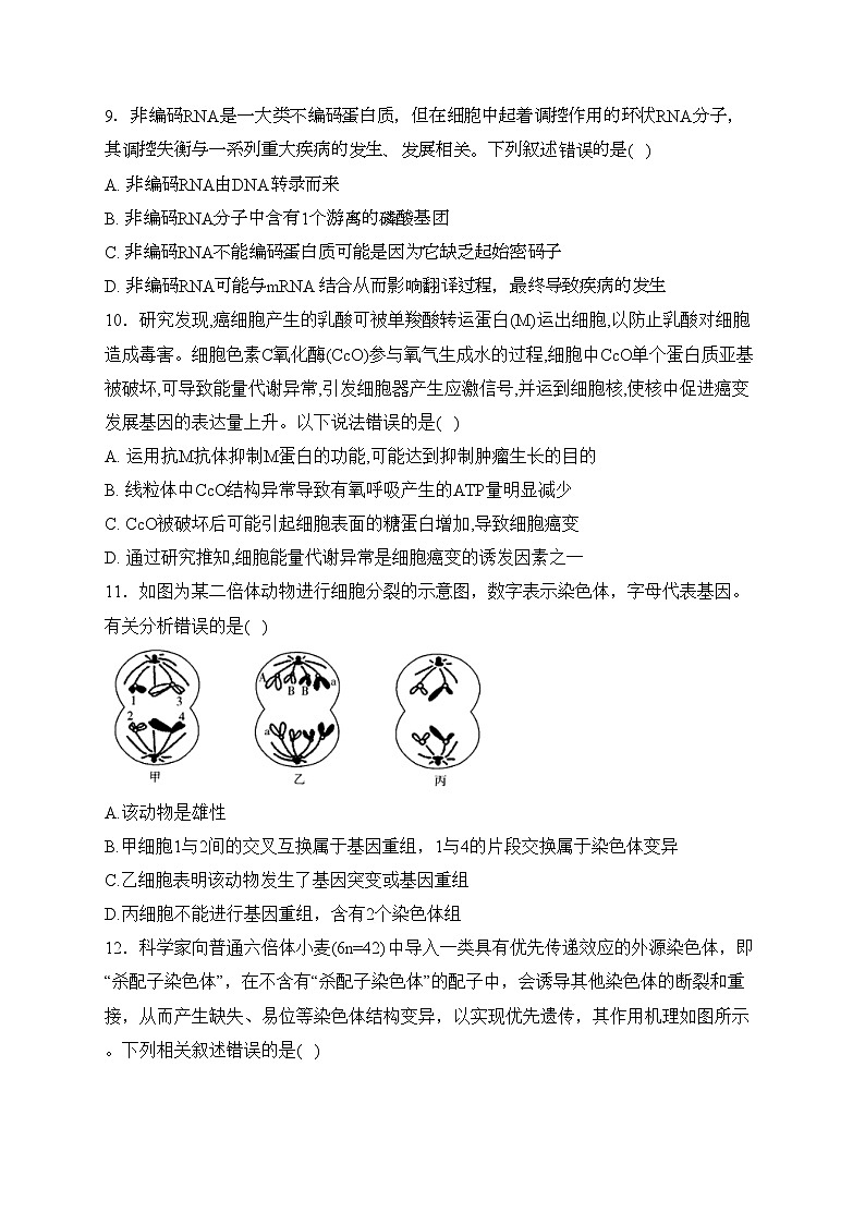 鹤壁市第一中学2022-2023学年高一下学期6月月考生物试卷(含答案)第3页