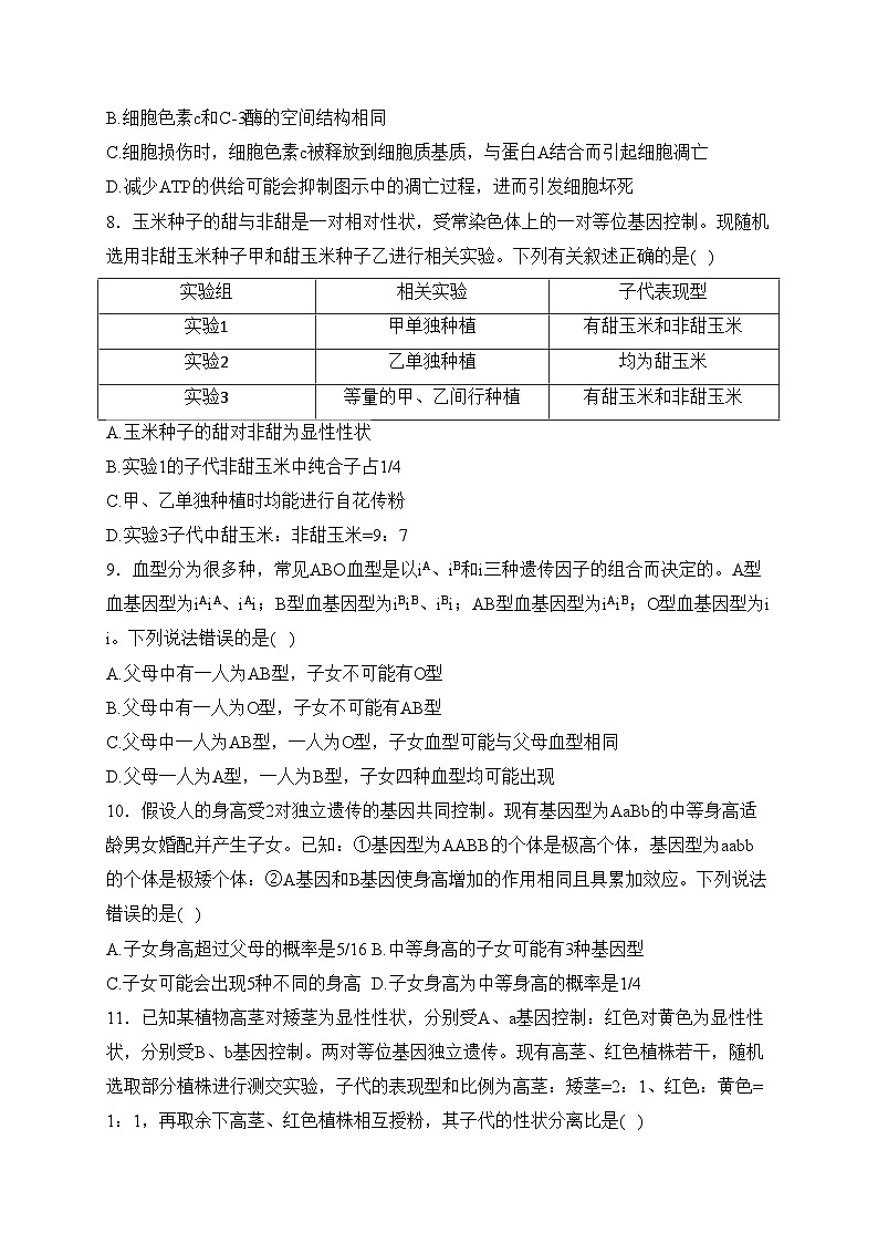 湖北省鄂东南省级示范高中2023-2024学年高一下学期期中联考生物试卷(含答案)03