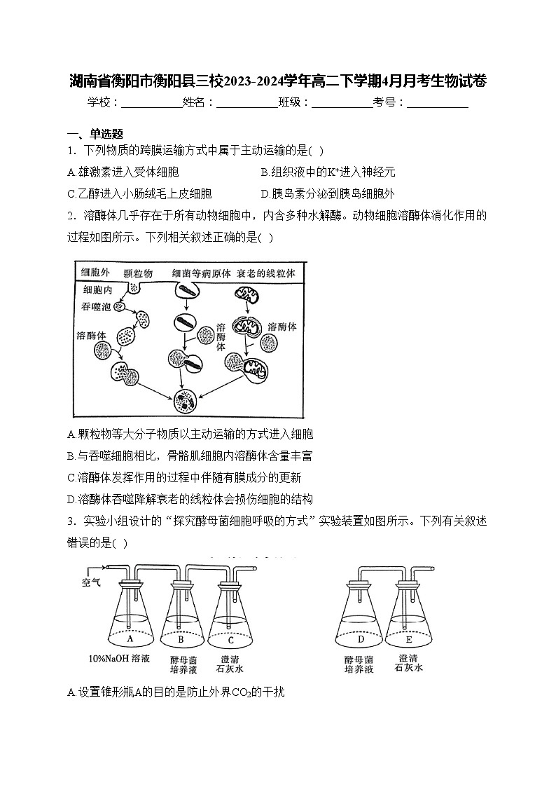湖南省衡阳市衡阳县三校2023-2024学年高二下学期4月月考生物试卷(含答案)第1页