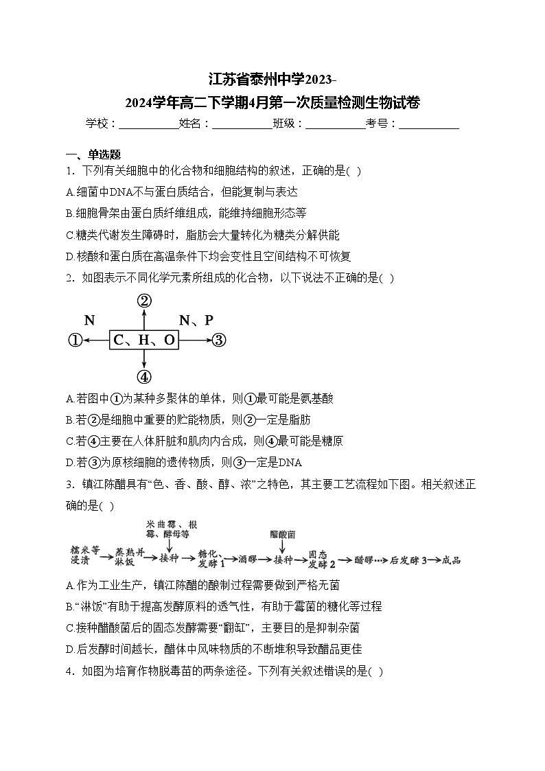 江苏省泰州中学2023-2024学年高二下学期4月第一次质量检测生物试卷(含答案)01