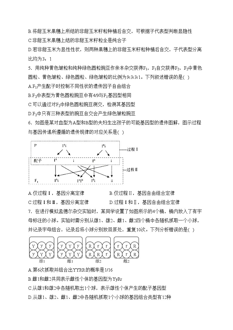 眉山市彭山区第一中学2023-2024学年高一下学期4月月考生物试卷(含答案)第2页