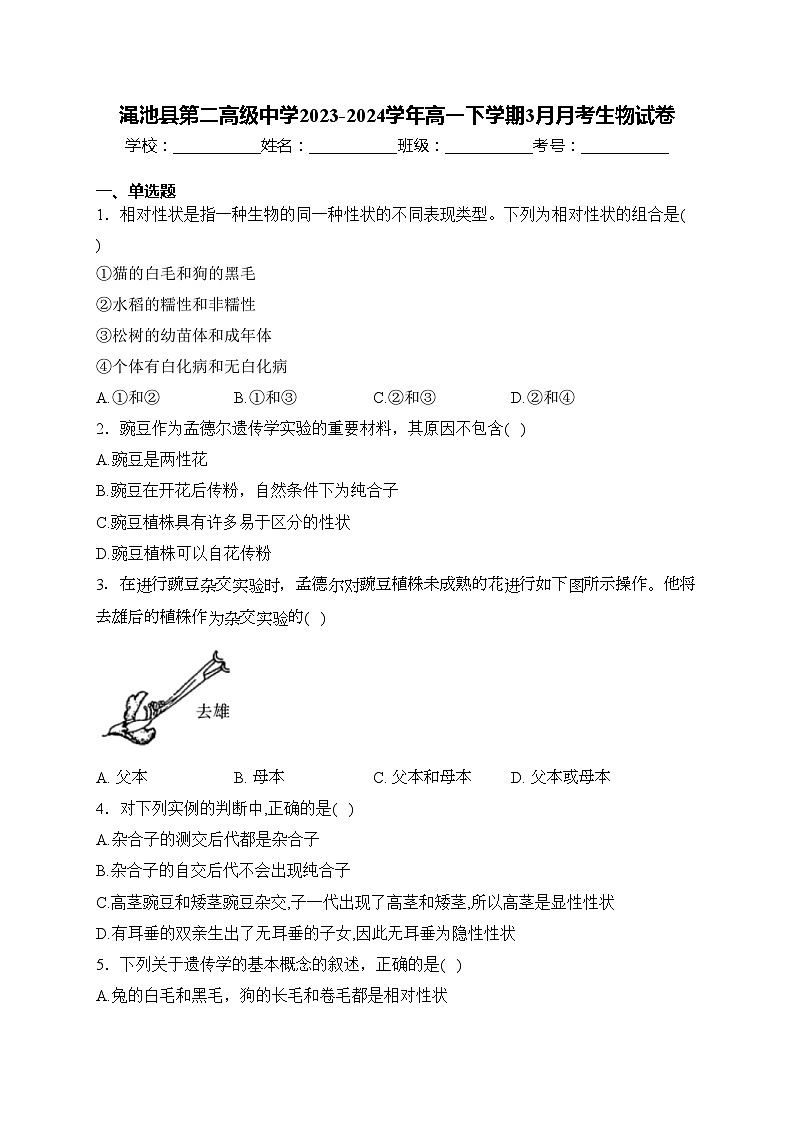 渑池县第二高级中学2023-2024学年高一下学期3月月考生物试卷(含答案)第1页