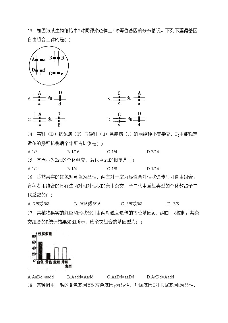 渑池县第二高级中学2023-2024学年高一下学期3月月考生物试卷(含答案)第3页