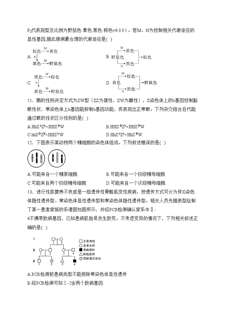 运城市康杰中学2023-2024学年高一下学期4月月考生物试卷(含答案)03