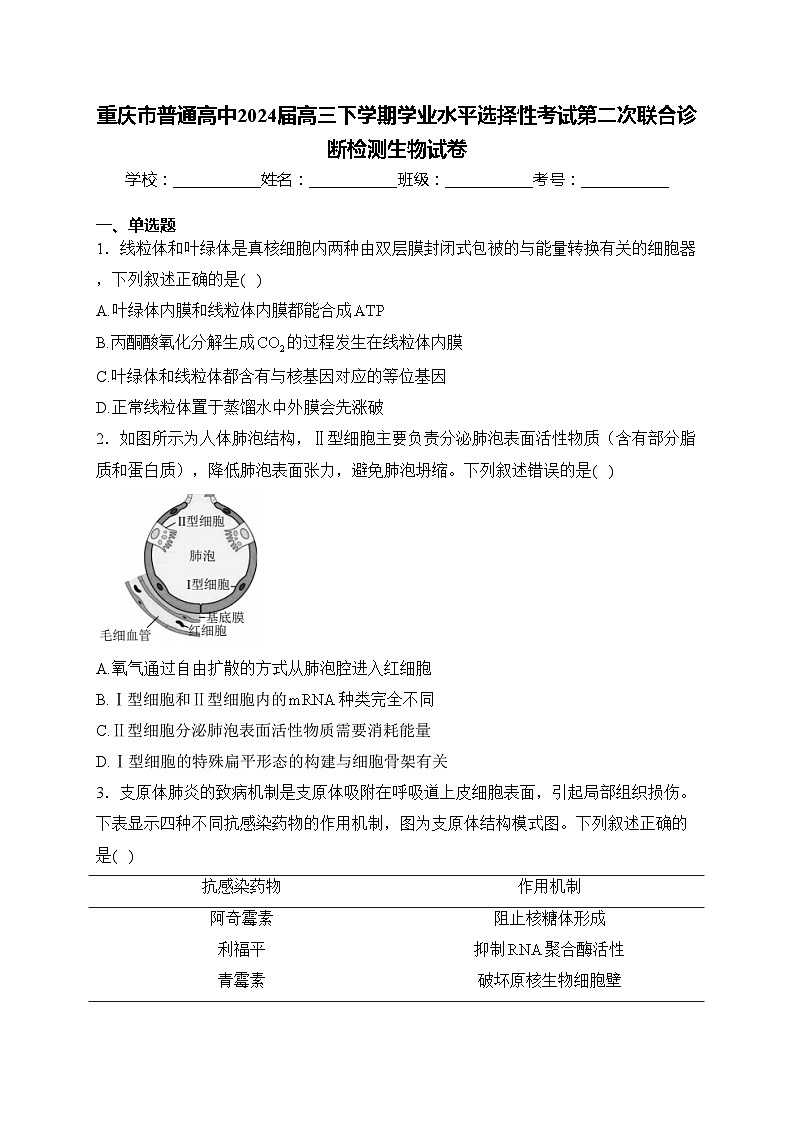 重庆市普通高中2024届高三下学期学业水平选择性考试第二次联合诊断检测生物试卷(含答案)第1页