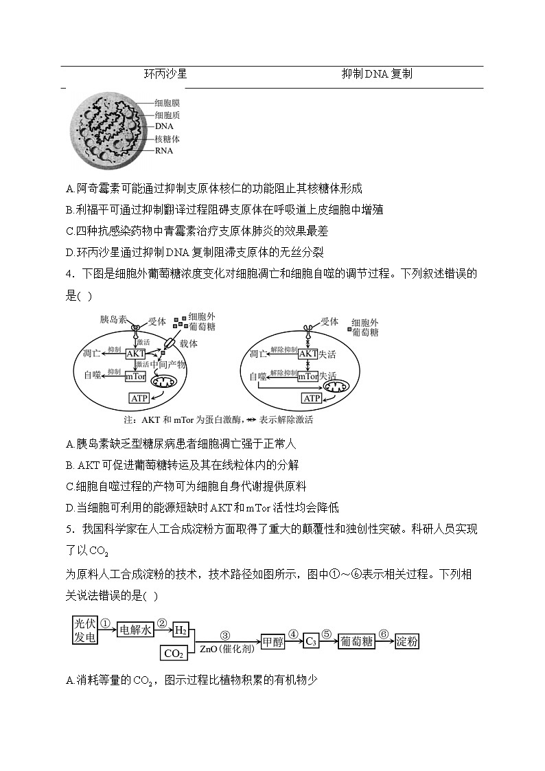 重庆市普通高中2024届高三下学期学业水平选择性考试第二次联合诊断检测生物试卷(含答案)第2页