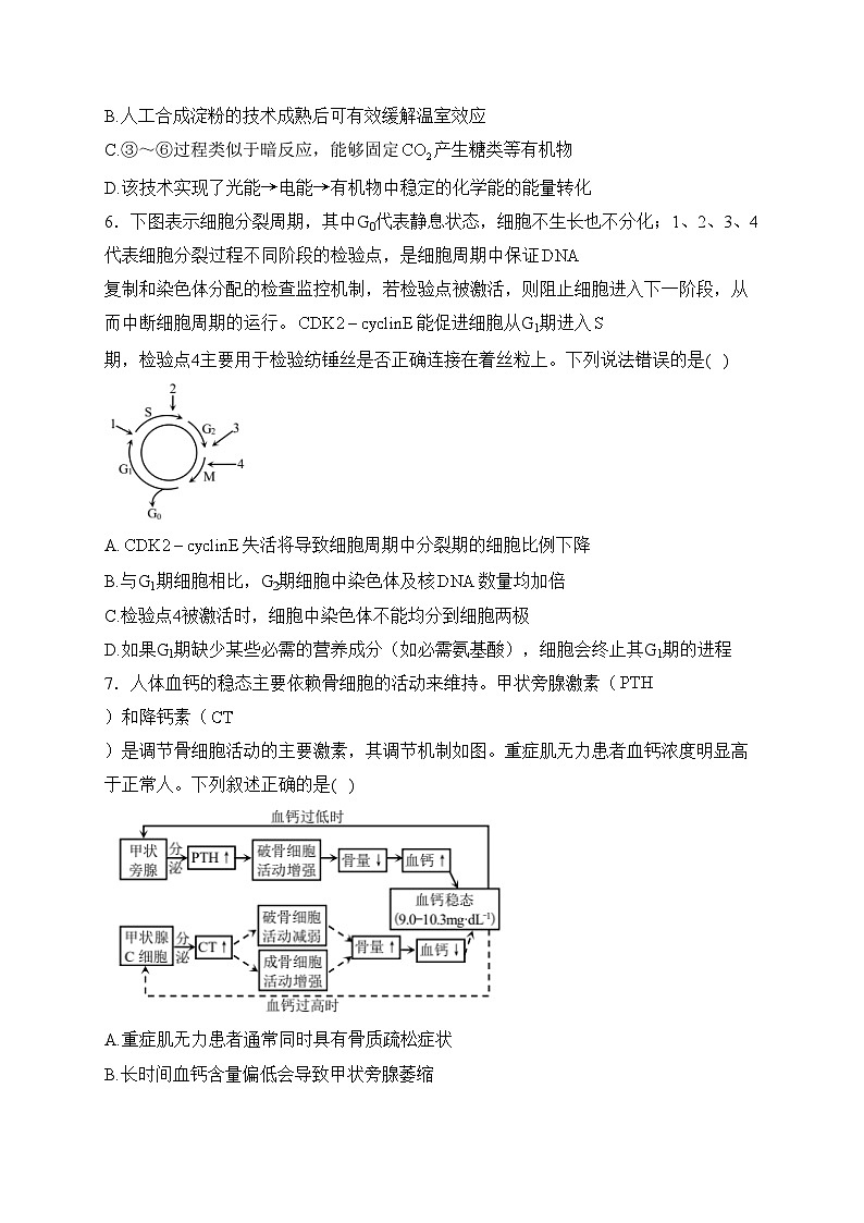 重庆市普通高中2024届高三下学期学业水平选择性考试第二次联合诊断检测生物试卷(含答案)第3页