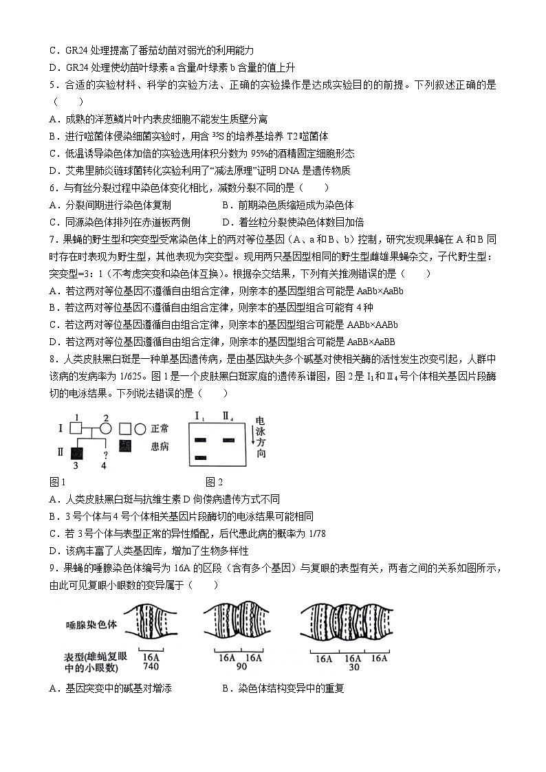 2024安庆示范高中高三下学期4月联考试题（三模）生物含答案第2页