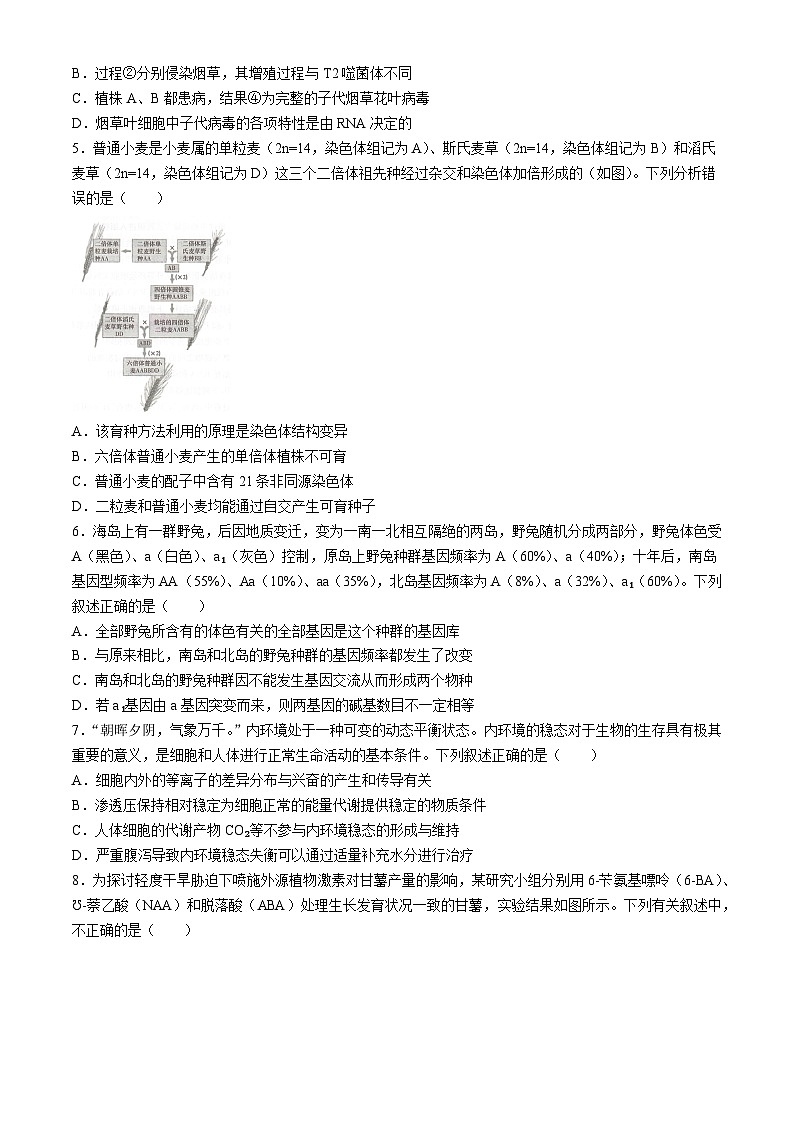 2024湖南名校联考联合体高三下学期高考考前仿真联考试题生物含解析02