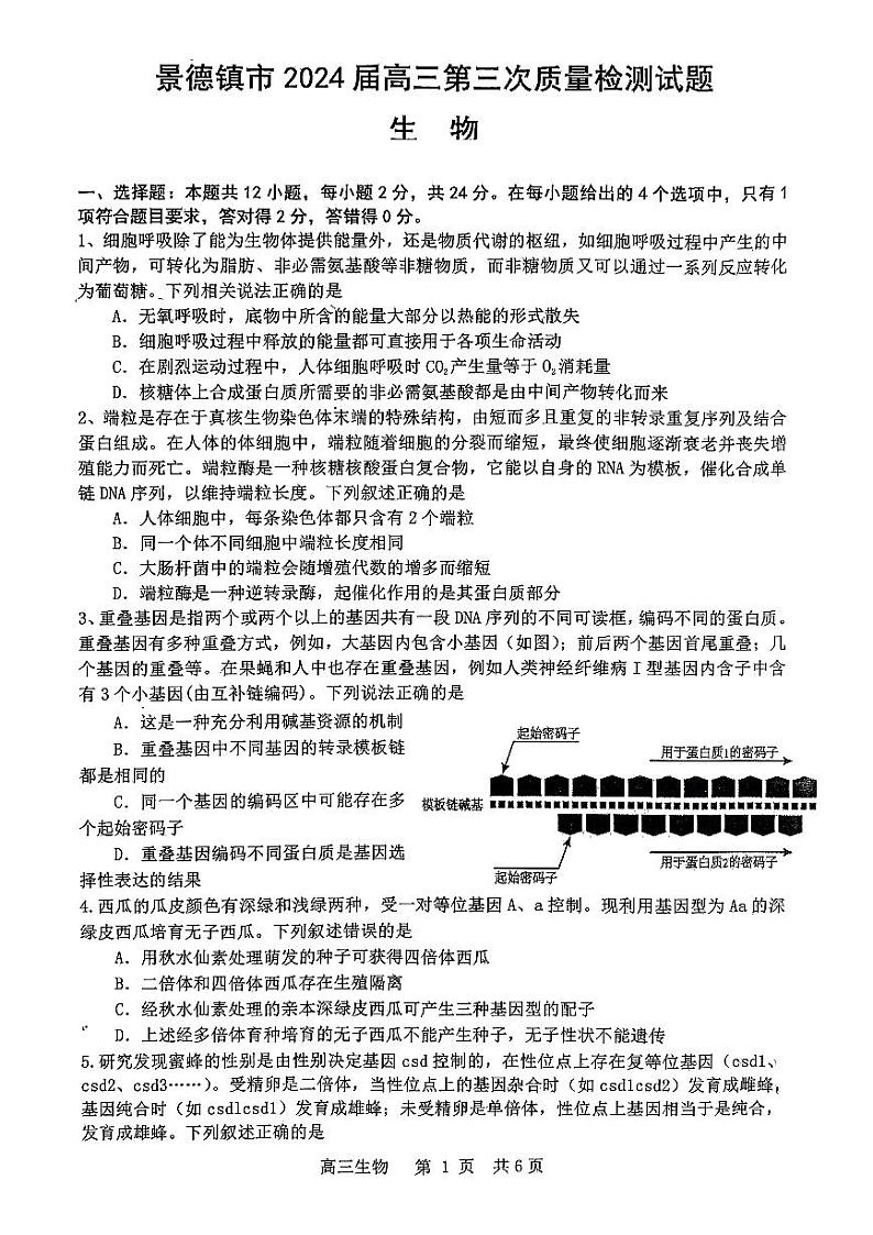 2024景德镇高三下学期第三次质量检测试题（二模）生物PDF版含答案第1页