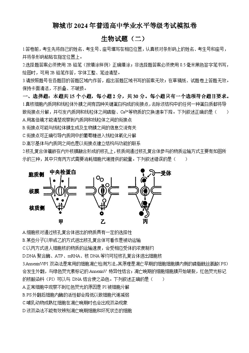 2024聊城高三下学期二模试题生物含答案01