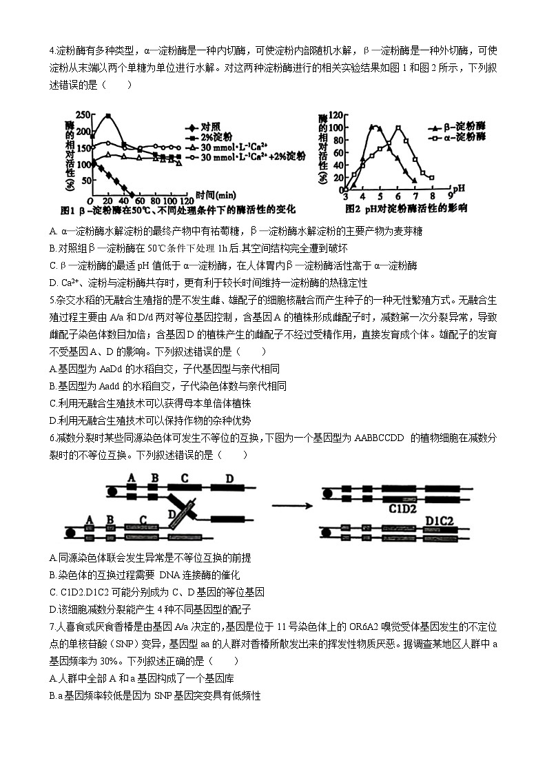 2024聊城高三下学期二模试题生物含答案02
