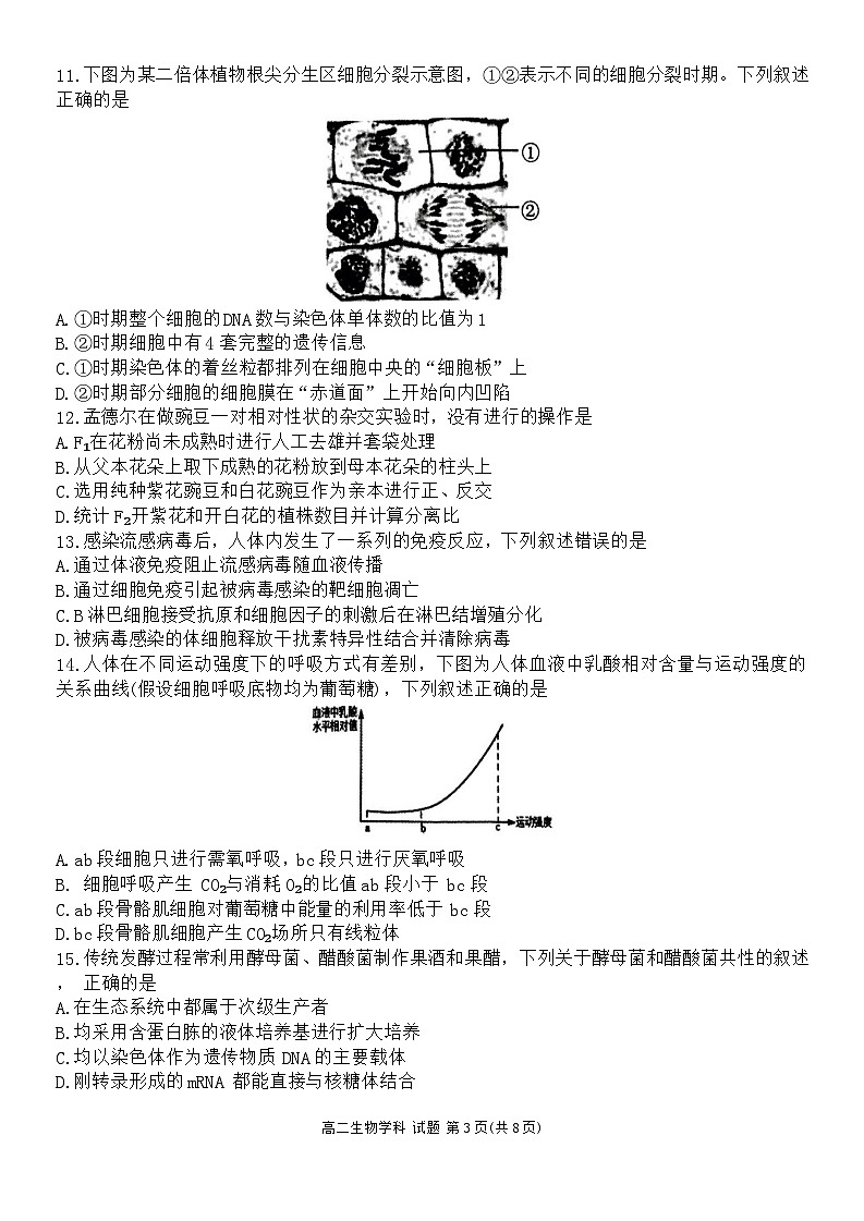 2024浙江省G5联盟高二下学期4月期中联考生物试题无答案第3页