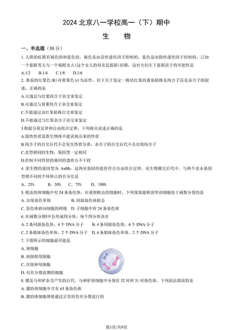 2024北京八一学校高一下学期期中生物试卷及答案（教师版）第1页