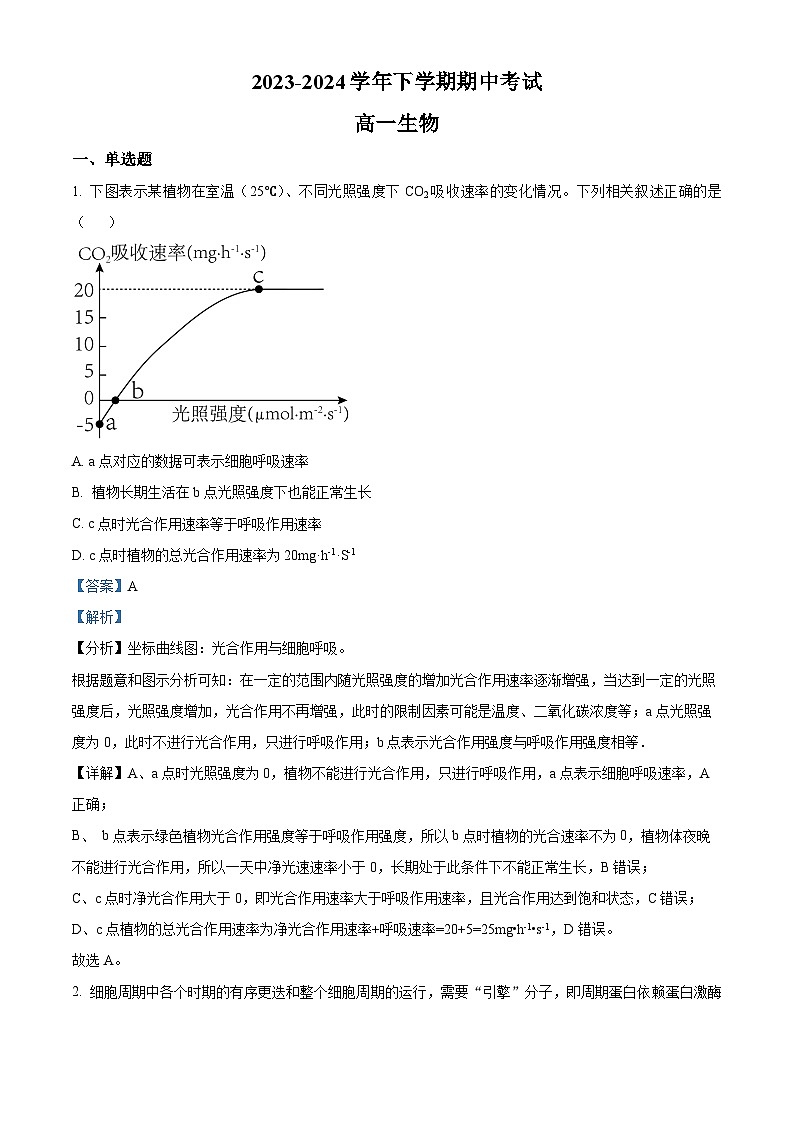 江西省宜春市丰城市东煌学校2023-2024学年高一下学期4月期中生物试题（原卷版+解析版）01