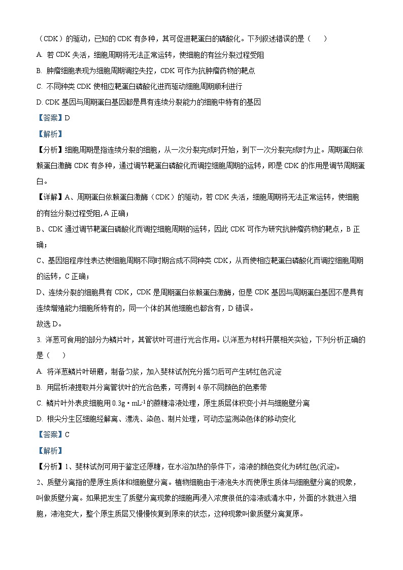 江西省宜春市丰城市东煌学校2023-2024学年高一下学期4月期中生物试题（原卷版+解析版）02