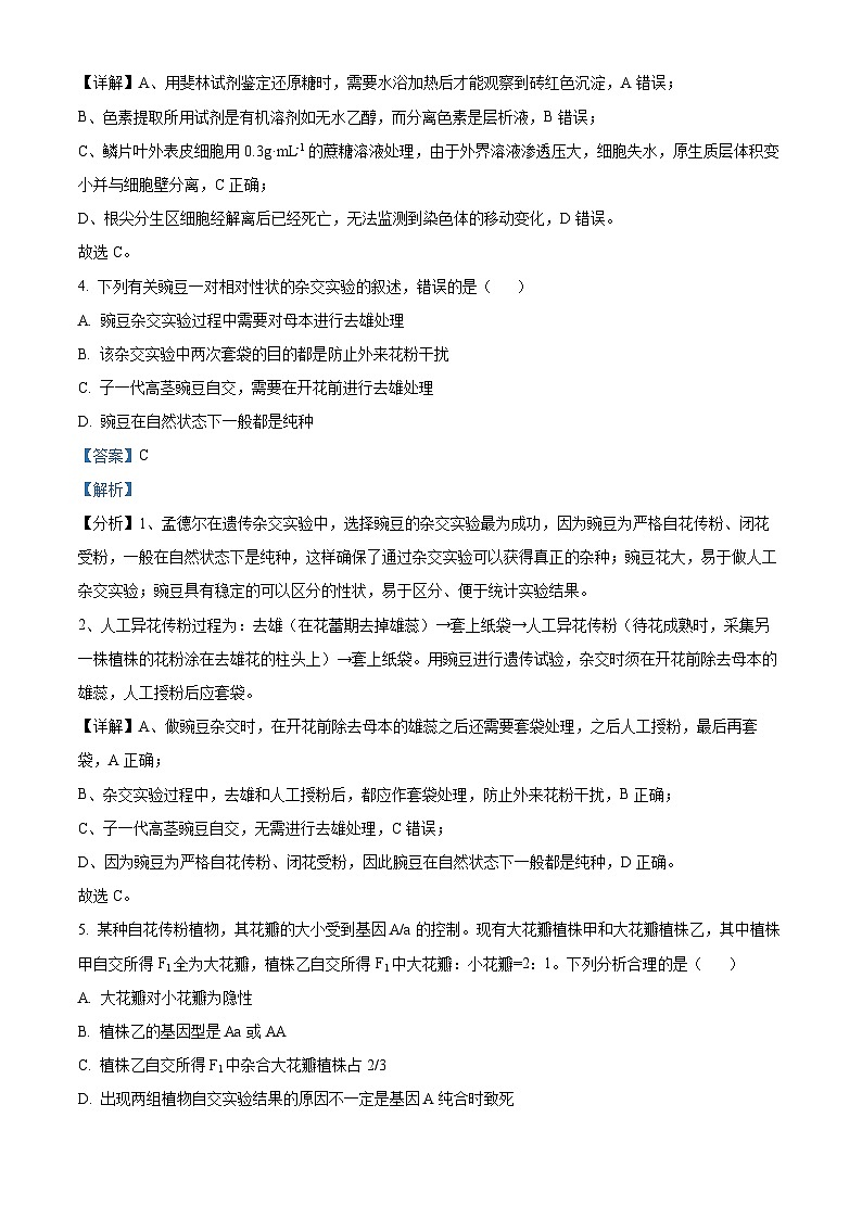 江西省宜春市丰城市东煌学校2023-2024学年高一下学期4月期中生物试题（原卷版+解析版）03