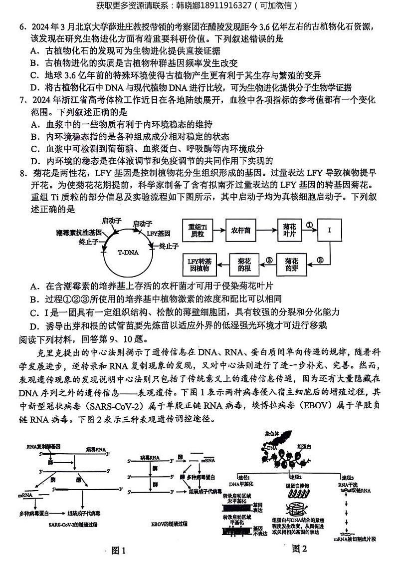 浙江省稽阳联谊学校2024届高三下学期4月联考试题（二模）生物 试卷含答案第2页