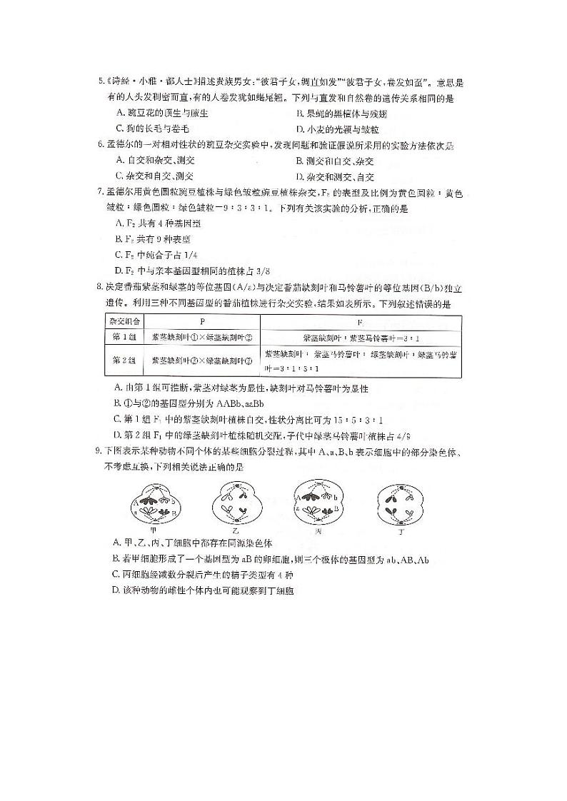 生物-湖南省2023-2024学年高一下学期三月联考生物试题02